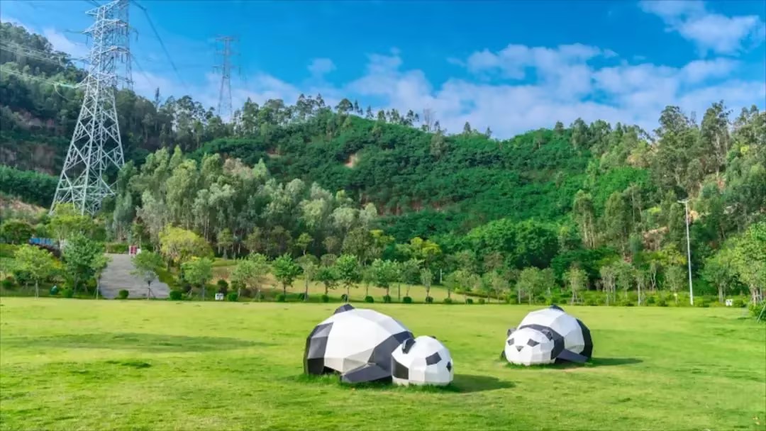 春日之約，享受自然之美